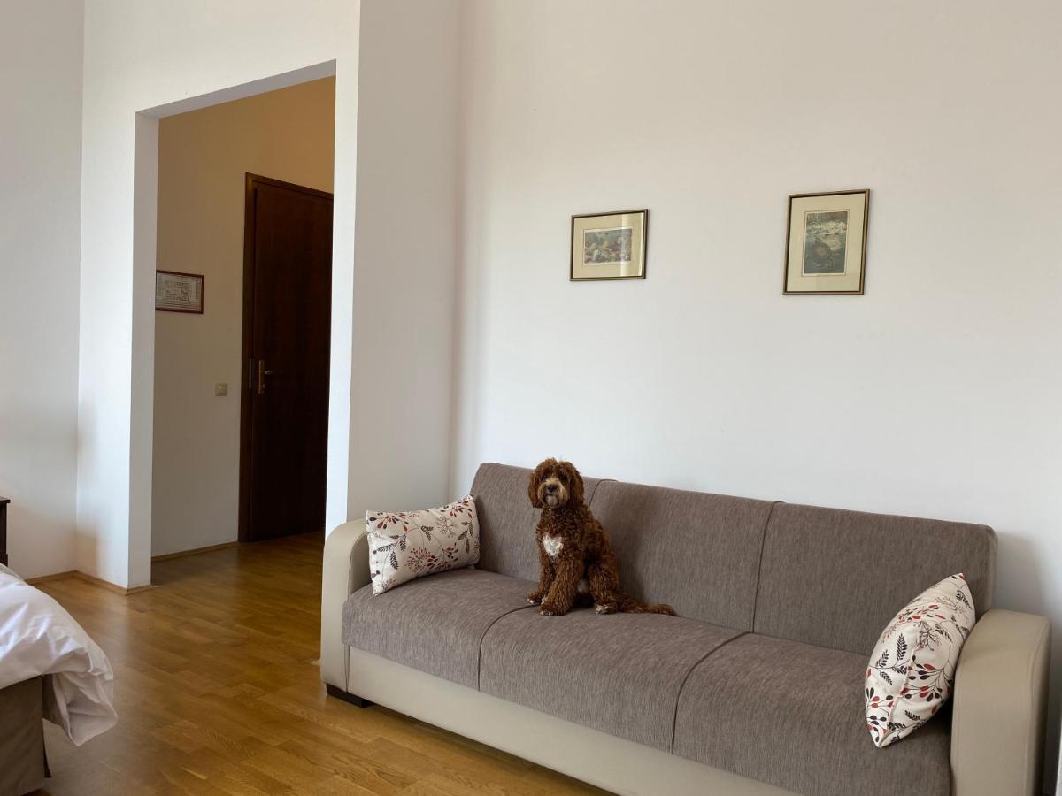 Kakasszeki Vendeghaz Otel Székkutas Dış mekan fotoğraf