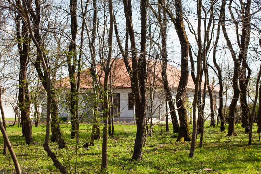 Kakasszeki Vendeghaz Otel Székkutas Dış mekan fotoğraf