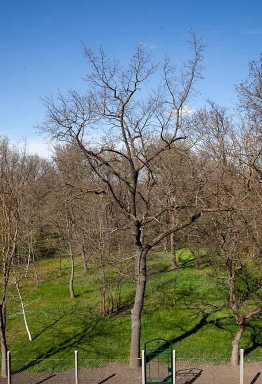 Kakasszeki Vendeghaz Otel Székkutas Dış mekan fotoğraf
